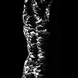 _DSC0578