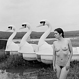 LABUTE5