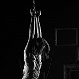 Shibari