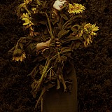 Photo by Bibora
